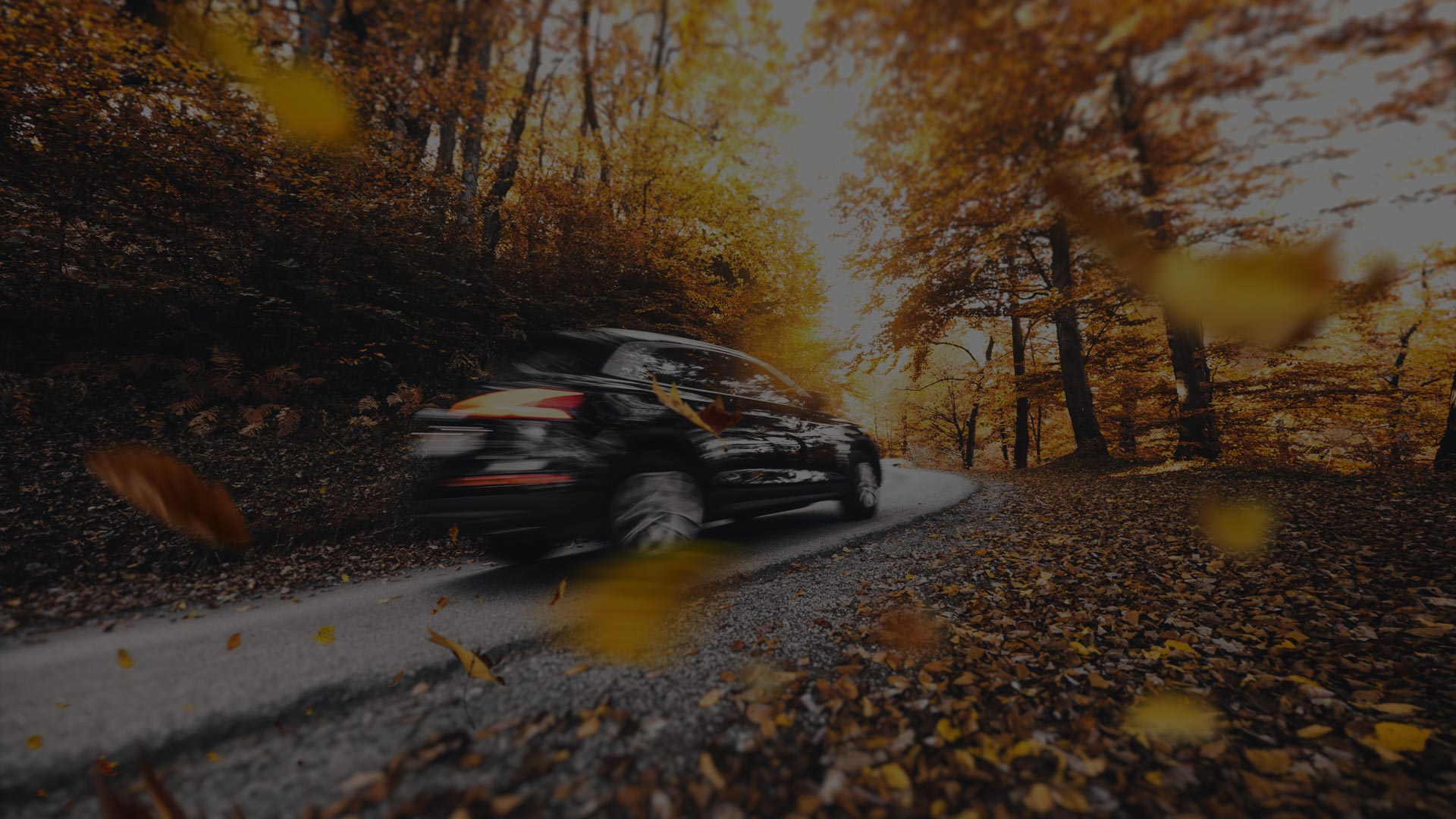 car driving through fall foliage